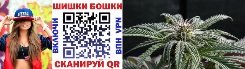 Бошки Шишки семена где купить наркоту Пугачёв